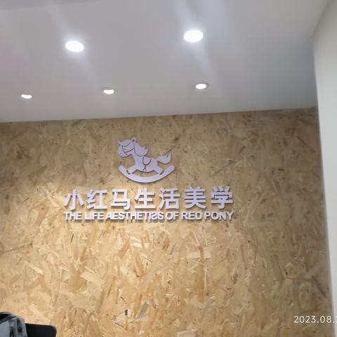 开封县街小学三09中队“阳光宝贝”社团开展创意手工制作活动