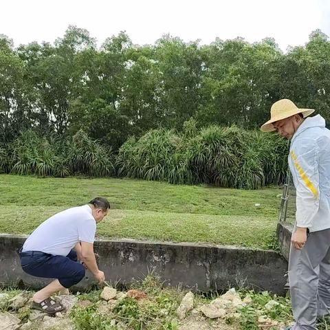 更新村委会开展三月份收牛粪治污水从我做起党日活动
