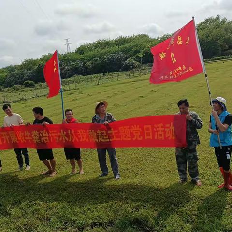 更新村委会开展四月份收牛粪治污水从我做起党日活动