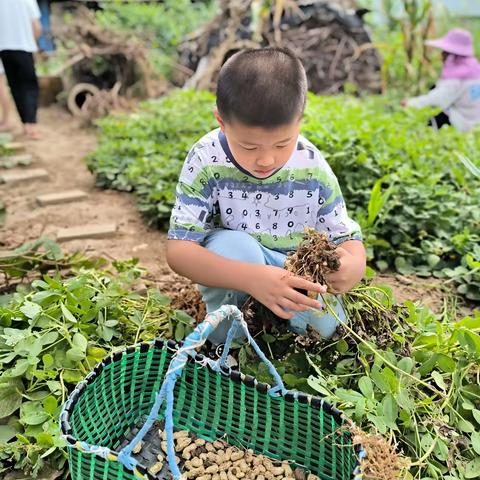 六安市解放路小学启明中队唐鸿博同学丰富多彩的假期