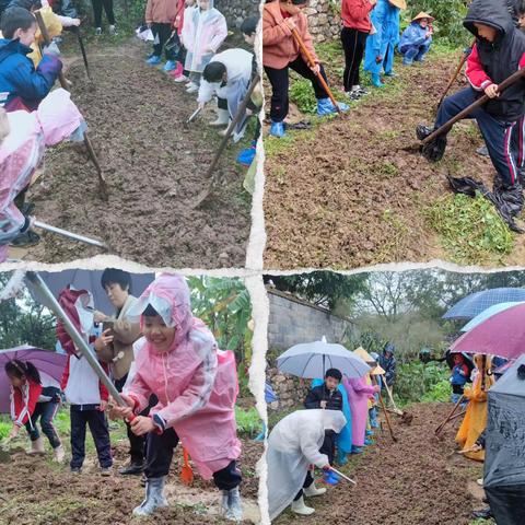 慧·雅假日战队——-玉州区第三实验小学植树节活动 改造自然 年年林茂粮丰