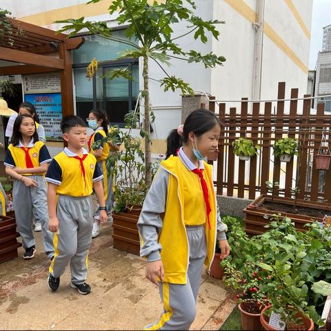 “一份耕耘 ，一份收获”——海口市龙华小学五年级蔬菜义卖实践活动（副本）