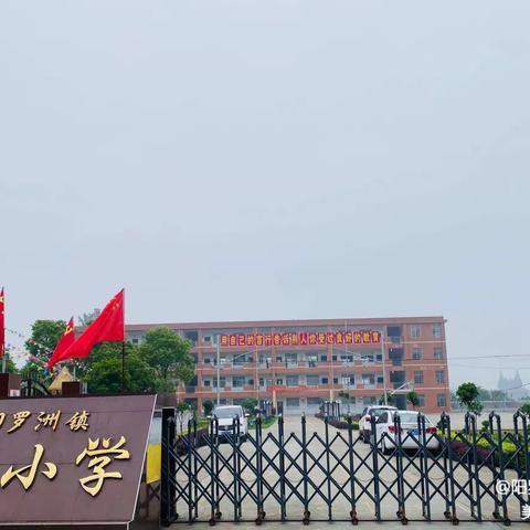 开启新学期，筑梦向未来！————阳罗洲镇中心小学开学须知