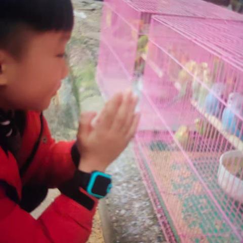 灵蛇启航·品行筑梦 何易帆的快乐寒假生活