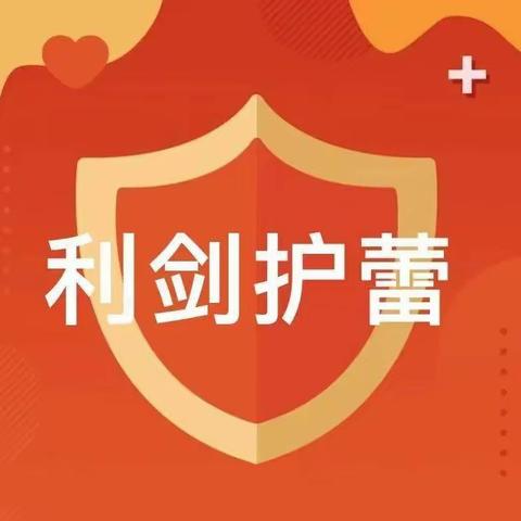 新庄小学：利剑护蕾，雷霆行动——致家长的一封信