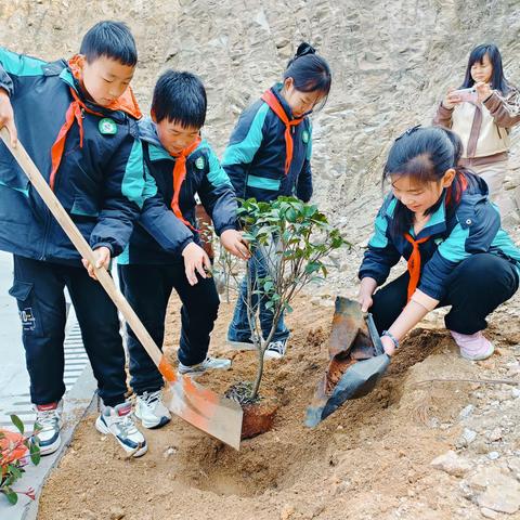 “植”此青绿，“树”写春天 ——实验六小读书山校区植树节系列活动