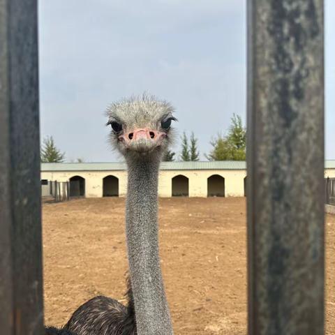 「向阳班」属于我们的初二上学期