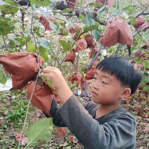 欢度国庆   我是劳动小能手   郭家店镇仲院小学国庆假期劳动