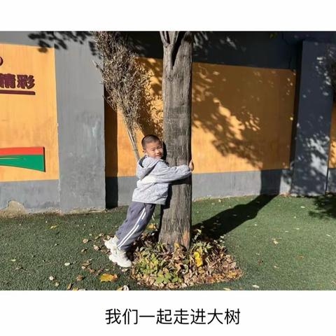 【灞桥学前教育】拜访大树——灞桥街道中心校辖区邵平店幼儿园中班课程故事