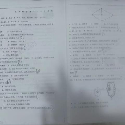 快乐暑假  临汾四中  389  贾静涵