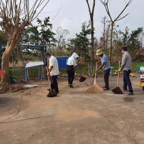 锦山镇茶园村委会2025年学雷锋主题党日六水共治志愿服务活动