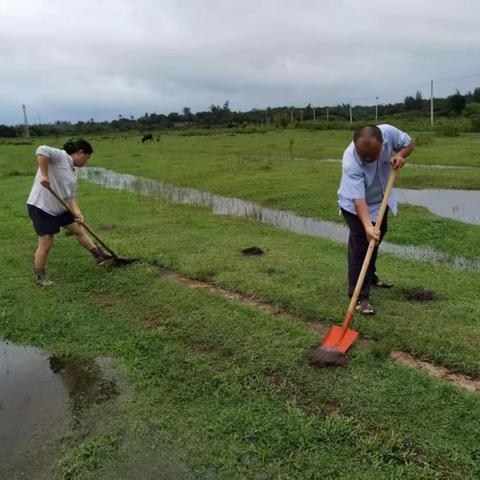 茶园村委会六月开展六水共治活动