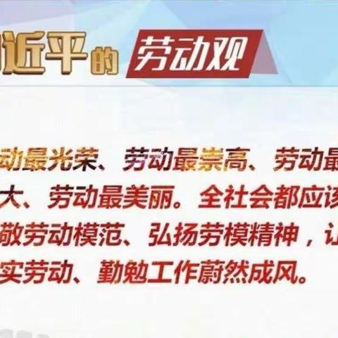 以“劳”树德，以“劳”育美——灵武市狼皮子梁学校劳动教育实践活动