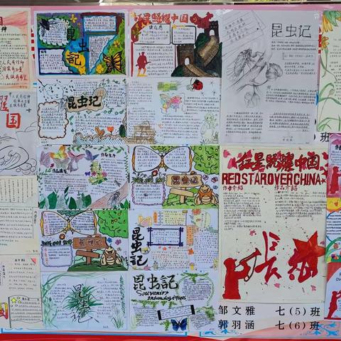 不负韶华，“暑”我精彩——石嘴山市实验中学八年级语文暑假优秀作品展示