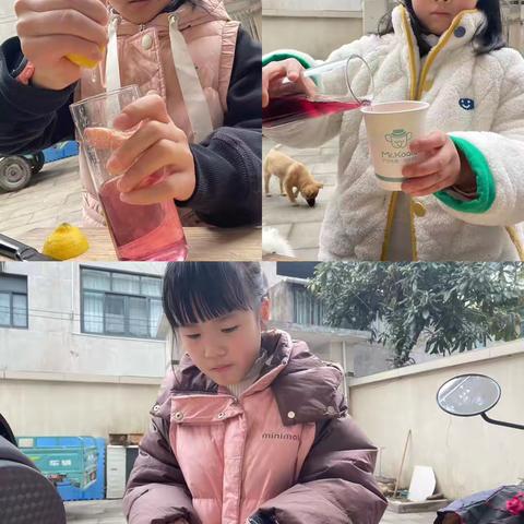 乐趣实验7——《维C美白的原理是什么？》五下        郭瑀桐、王思洋、张晋如