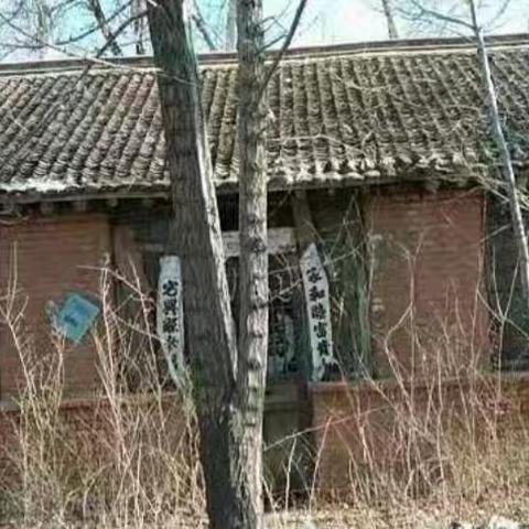 我讨厌的“病态教育”