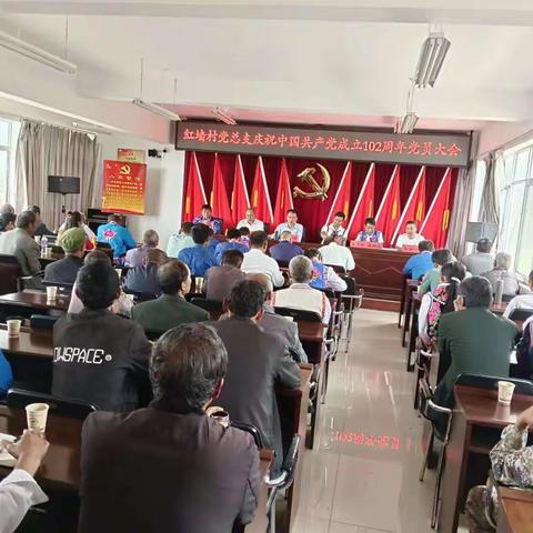 红墙村开展“学思想庆七一”主题党日活动