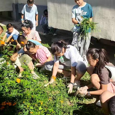 24社区开展“我是环保小卫士”活动