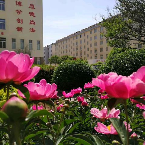 精研深耕聚合力 传经送宝促提升 ——围子初中毕业学科教师倾囊相授，助力期末复习增效提质