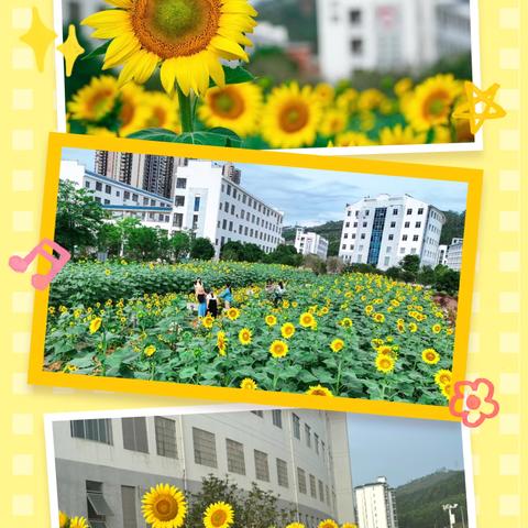 一路研学一路成长 ‍2401 班 2025 春第 16 周 ‍