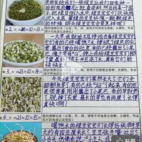 绿豆变形记