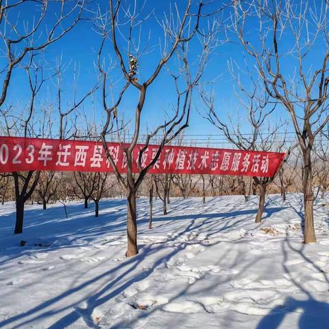 历经一番寒彻骨，才得栗花扑鼻香 ——迁西县科协组织乡土拔尖人才开展 板栗技术现场培训会