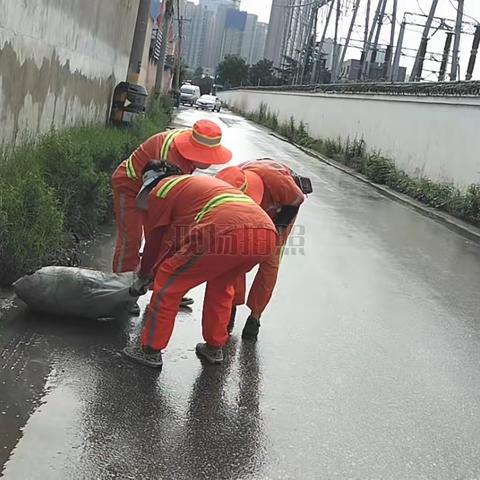 夏日除草正当时，环境优美更“净”一步