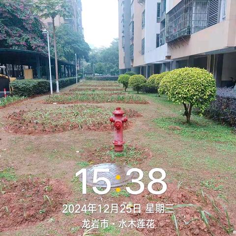 城市花园物业服务有限公司-水木莲花物业服务中心12月报