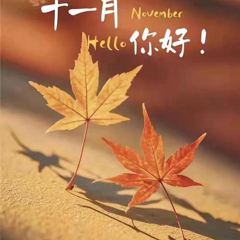 物业月报 ▏城市花园物业服务有限公司-水木莲花物业服务中心11🈷️工作月报