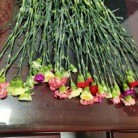 “浓情五月 感恩母亲”献花活动