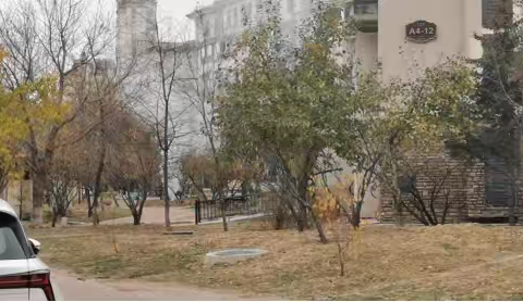 创业二社区网格员制止烧叶险情