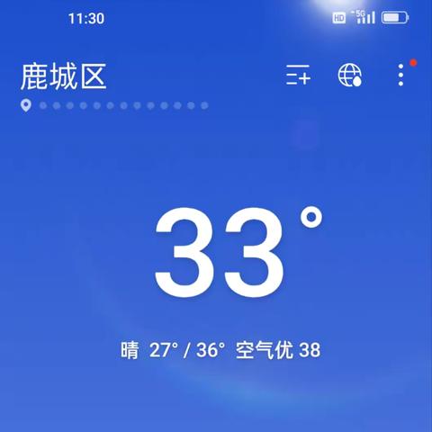 暑期荷花观察记录