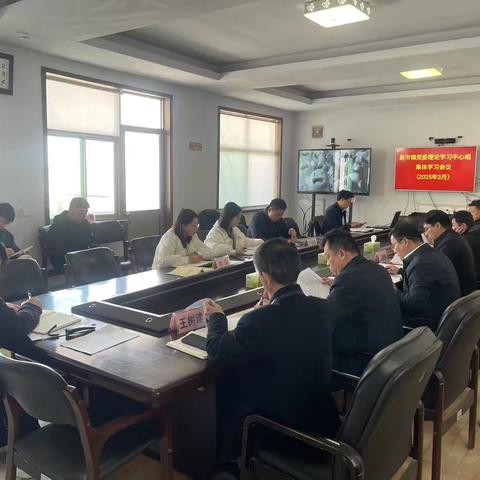 新市镇党委理论学习中心组2025年第三次集体学习
