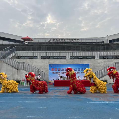 乘亚运之风 铸强健体魄——肇庆鼎湖第一实验学校第三届体育节