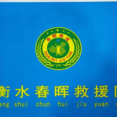 30小时守护接力 暖心救援