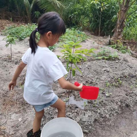 快乐暑假劳动实践活动（那大第九小学）