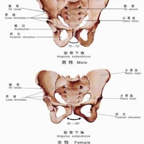 杨世奇  晋城康宁手外科医院的简篇