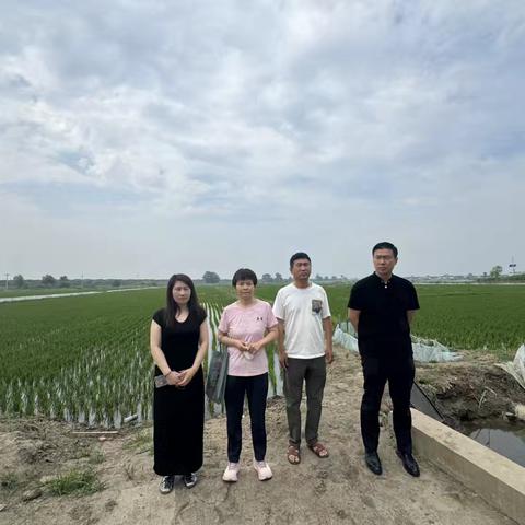 双台子支行积极践行“两山论”，以金融力量守护绿水青山