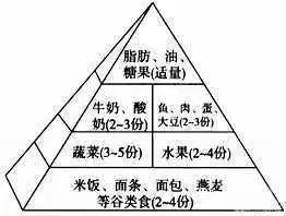 开展合理膳食营养均衡的知识宣传----陈化店镇初级中学宣