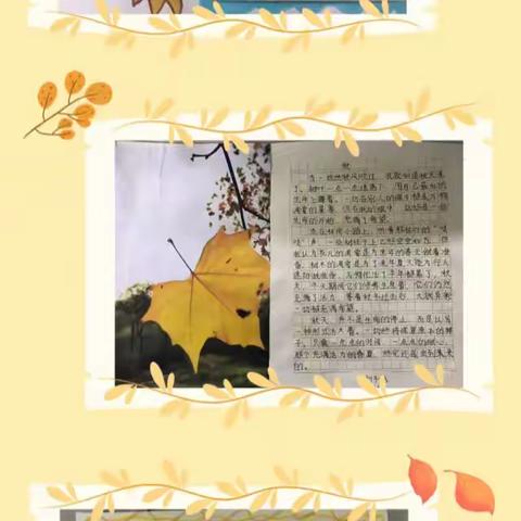 金秋觅色启新程，妙笔征文结硕果----记魏风路初级中学七年级“寻秋记・身边的斑斓”秋色图文征集活动