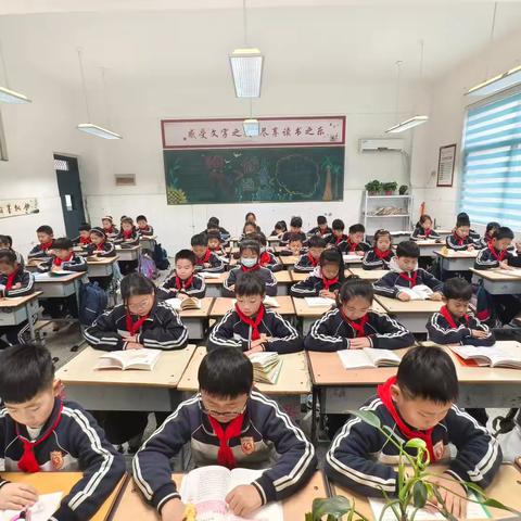 童话启航，一场与安徒生的美好相遇—兴华小学东校区三年级语文整本书阅读活动《安徒生童话》