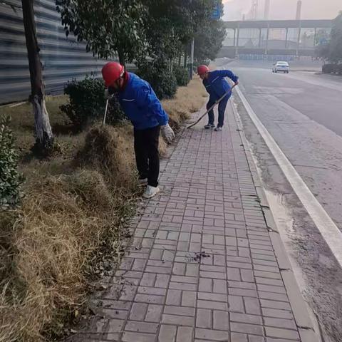 除杂草接地气     传达车间正能量