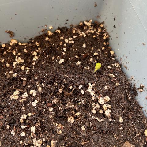 一堂即兴的写作课