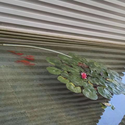 奋斗，点燃青春的梦想