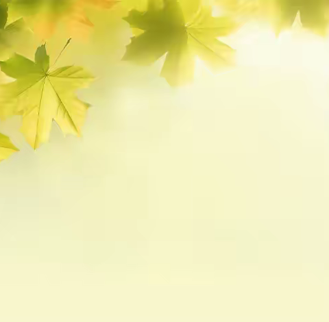 严勤细实促发展，赋能提质谱新篇——2023年秋季绿园区教育局教育科视导工作剪影