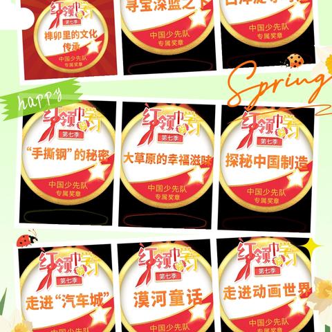 实验小学二八班肖沐辰 社会实践活动展示