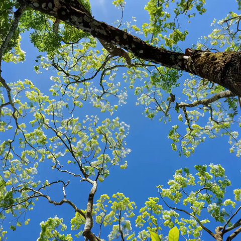 家校社共育  护航共成长——雅江镇中心校2025年春期家长会