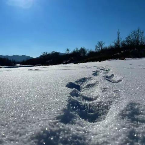 合阳职教最美中职生张久兴的假期生活