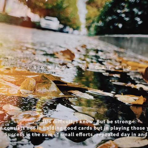 全力应对多雨之夏//雨幕中的绿意守护者