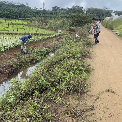 为坚定不移贯彻落实习近平总书记治水理念和新时代治水方针，3月6日，蓬莱社区居委会治水中队开展治水活动。